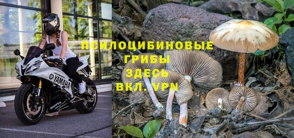 мет Заводоуковск