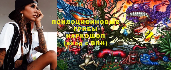 мдпв Ельня