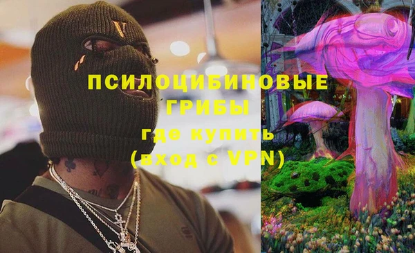 амф Струнино