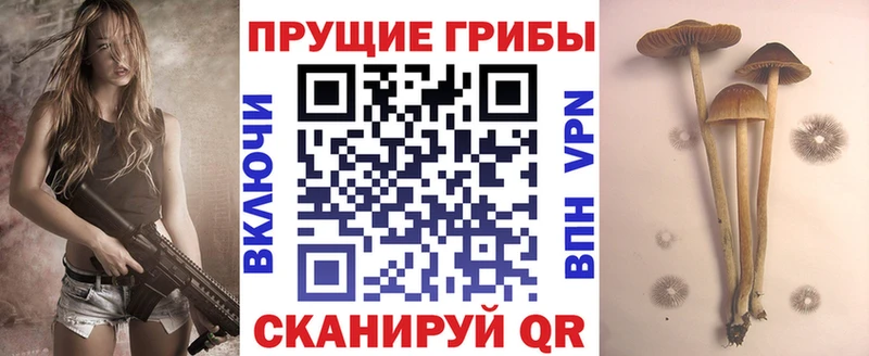 Псилоцибиновые грибы ЛСД  Сретенск 